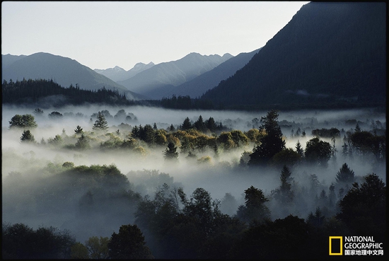 奧林匹克國家公園，華盛頓州攝影：Sam Abell，國家地理創(chuàng)意版