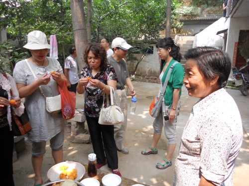 信息廣播為滎陽(yáng)杏農(nóng)獻(xiàn)愛心