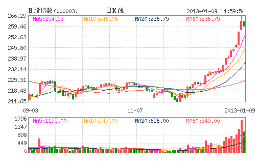 B股指數(shù)整體回調(diào) 閩燦坤一枝獨(dú)秀仍漲停