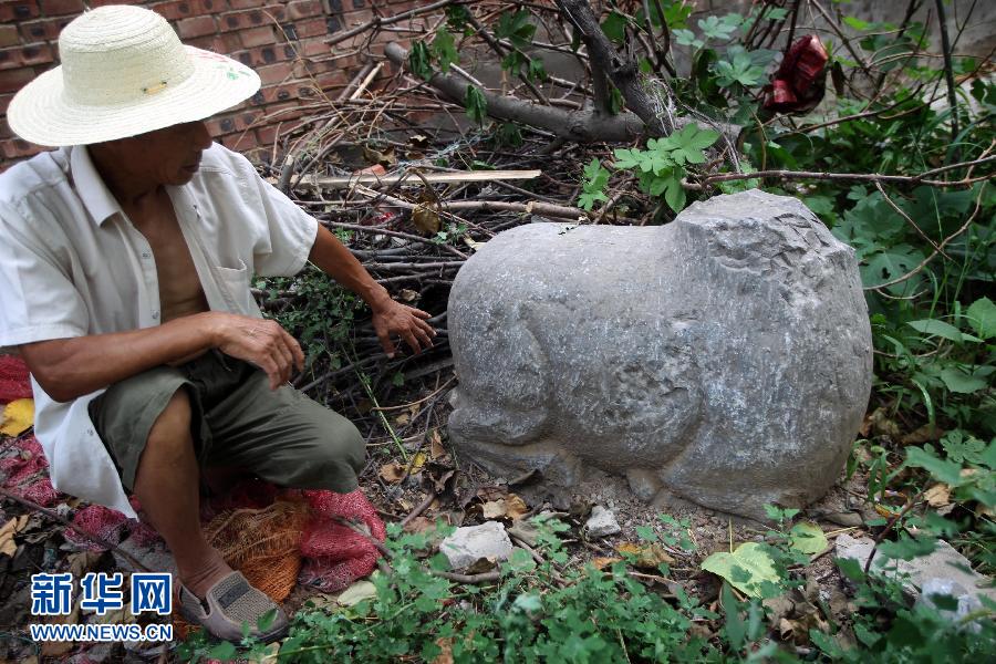 朝陽鎮(zhèn)后李村業(yè)余文保隊員，今年65歲的李連堂在上世紀平整土地時候，從地里挖出一個石羊殘身，至今仍放在