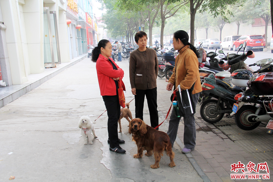 辦過手續(xù)的市民在一起聊天