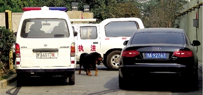 警察與藏獒對(duì)峙