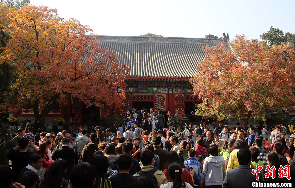 　10月26日，北京香山公園內(nèi)游客摩肩接踵。