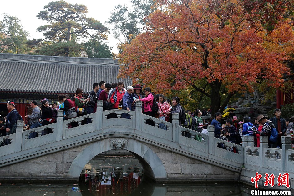 　10月26日，北京香山公園內(nèi)游客摩肩接踵。