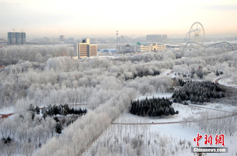 12月10日,受降溫天氣影響,黑河市黑龍江江畔出現(xiàn)綿延數(shù)公里的霧凇景觀。