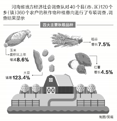 河南專項調(diào)查40個縣 四大秋糧種植結(jié)構(gòu)發(fā)生變化