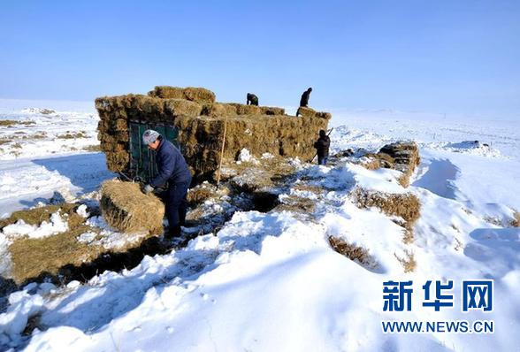 直擊內(nèi)蒙古錫林郭勒盟罕見“鐵災(zāi)”救助十萬火急