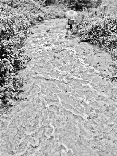 梅子回家的山道，晴天是路，雨天是河