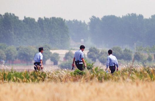 昨日上午，合肥長豐縣雙墩鎮(zhèn)，民警分成小隊在案發(fā)村莊附近麥田搜捕嫌犯。記者劉玉才/攝