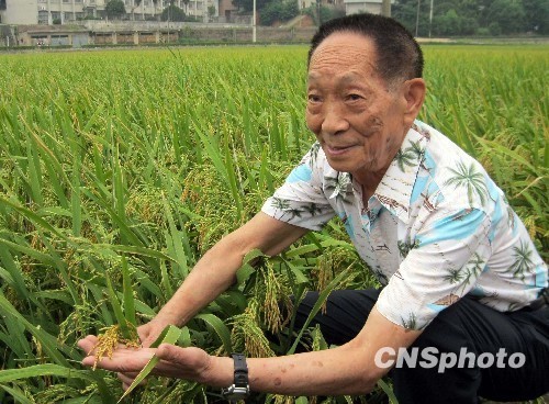 印度農民稻米單產創(chuàng)世界紀錄袁隆平批吹牛皮