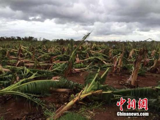 臺風“威馬遜”在越南肆虐引發(fā)泥石流 27人死亡