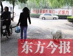 啟明一巷內(nèi)，一名女子帶著狗狗去買菜。狗隨地大小便，狗的主人未制止