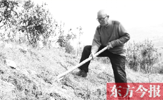 南陽(yáng)七旬老翁不愛遛鳥愛種樹 拿百萬(wàn)積蓄綠化千畝荒山