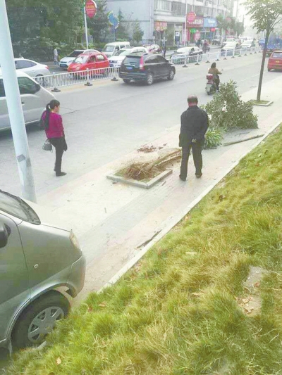 信陽(yáng)一轎車沖上人行道軋死嬰兒 司機(jī)疑醉駕