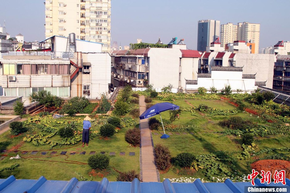 江西南昌的"空中菜園"