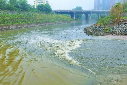 洛陽澗河遭大明渠中污水肆虐 釣出魚兒都帶油腥