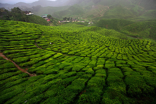 農(nóng)莊木屋盡享質(zhì)樸風(fēng)情