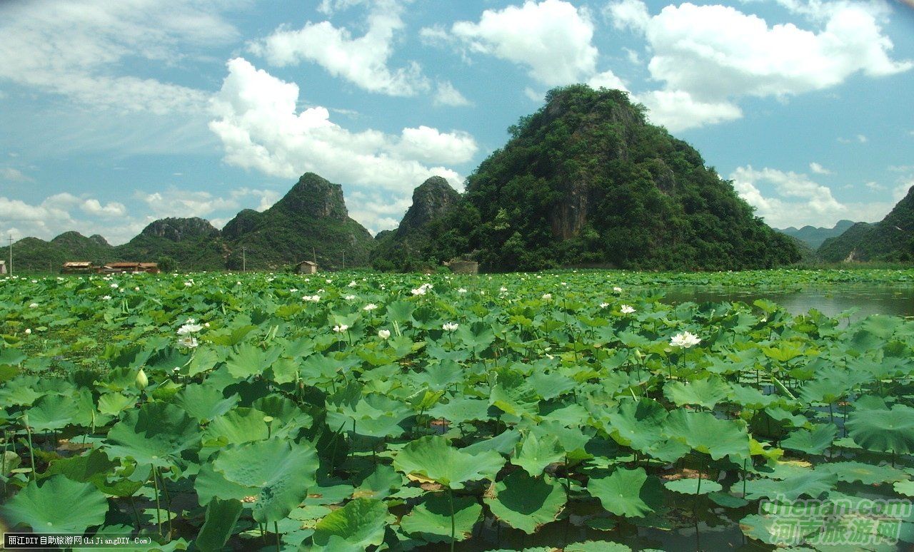 爸爸去哪兒？親密接觸荷花仙子