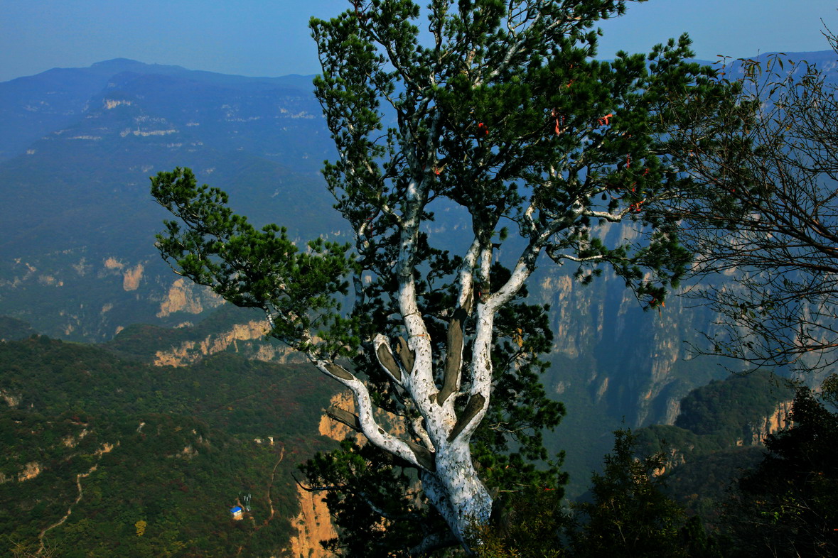 春天了 趁女人節(jié)的大優(yōu)惠去旅游