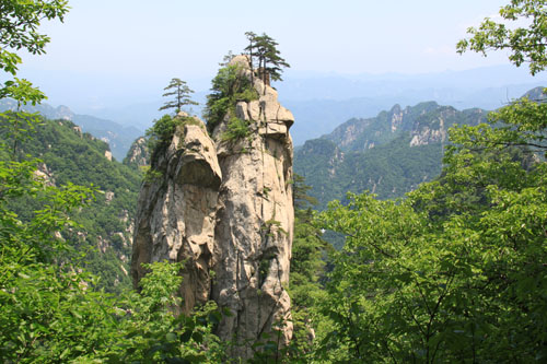 陽春三月 河南登山好去處