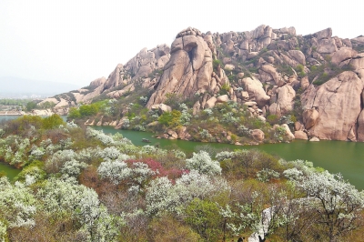 正好清明連谷雨春滿嵖岈花滿山