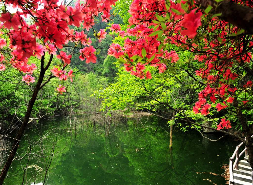 母親節(jié)河南景區(qū)優(yōu)惠大波來襲！