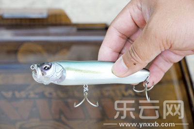 　　又稱擬餌釣魚,起源于歐洲,國內(nèi)翻譯為“路亞”。