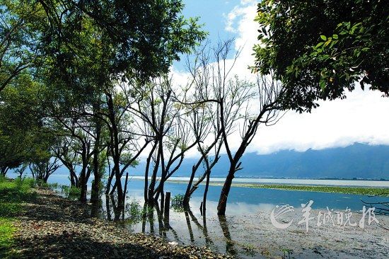 大理雙廊小村：避世絕塵的慢生活