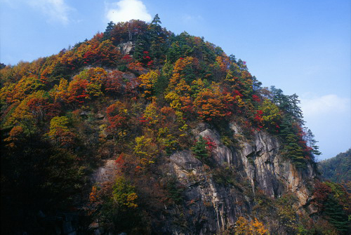 龍峪灣森林徒步中秋啟動(dòng) “混搭風(fēng)”引領(lǐng)金秋時(shí)尚