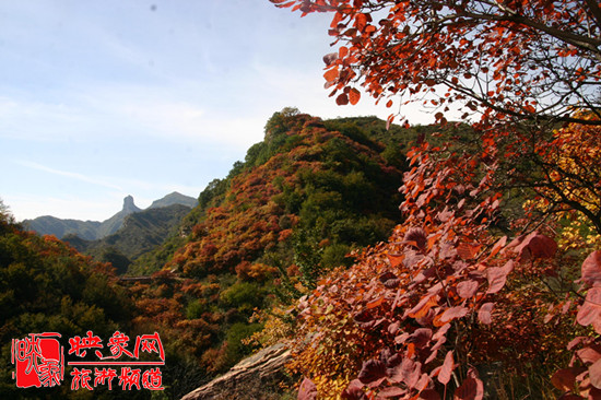 2013第七屆中國·邢臺九龍峽金秋紅葉節(jié)