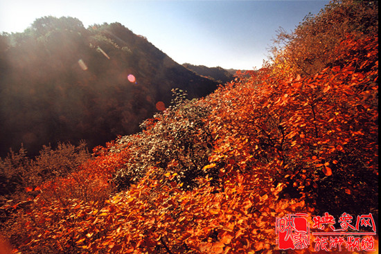 2013第七屆中國·邢臺九龍峽金秋紅葉節(jié)