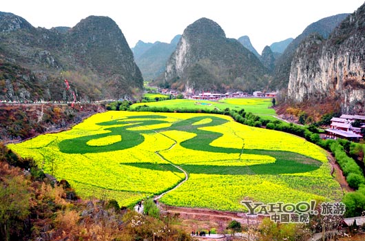 　　貴州油菜花景自以“立體多層,起伏跌宕”的油菜花景觀著稱。(圖片來源:CFP)