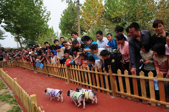 [旅游攻略]金秋十月鄭州綠博園特供“旅游大餐”