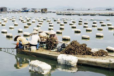 以漁為生，造就了他們不同于內(nèi)地的口味