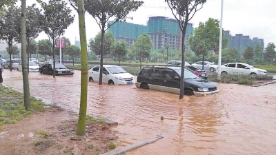 昨日，信陽突降暴雨，路面積水已淹沒輪胎。首席記者 何正權(quán) 通訊員 楊小燕 攝影