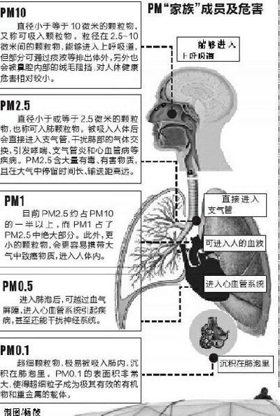 PM2.5危害示意圖