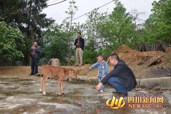 村里人知道后，前來看熱鬧