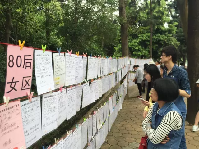 倆記者親測(cè)公園相親:女記者搶手 男記者無人問津