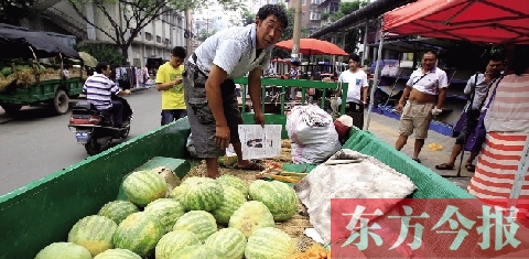 因為夜里睡太沉，來鄭州賣瓜的開封瓜農(nóng)姚老漢不但丟錢還丟瓜