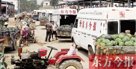 昨日，東方今報與河南福壽園聯合購瓜，只有更多的市民和企業(yè)加入購瓜行動，瓜農們才能早日回家