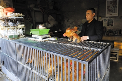 南京另一家農貿市場內待售的活雞。因南京出現(xiàn)H7N9禽流病例，買活雞的顧客減少。