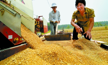 6月3日， 濮陽開發(fā)區(qū)胡村鄉(xiāng)后范莊村的續(xù)秀萍看著新打的粒大飽滿的小麥喜上眉梢。