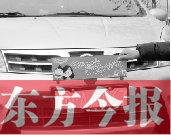 夏邑一教師發(fā)明“婚車標志牌” 以后不用蒙車牌