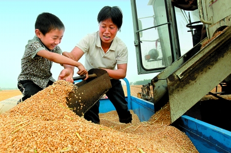 5月27日，確山縣劉店鎮(zhèn)前槽村郭景蓮和小孫子一起收獲小麥，豐收的喜悅寫在了臉上。