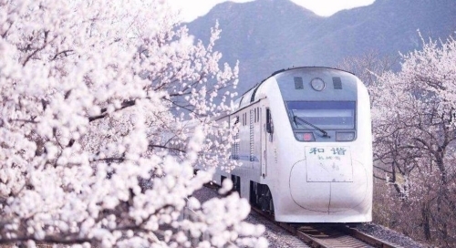 開(kāi)往春天的列車(chē)