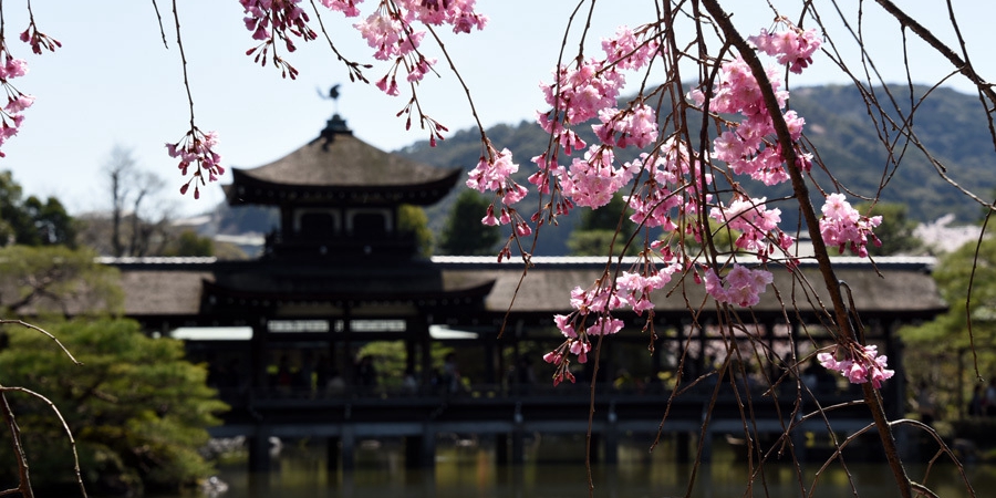 莫負(fù)人間四月天