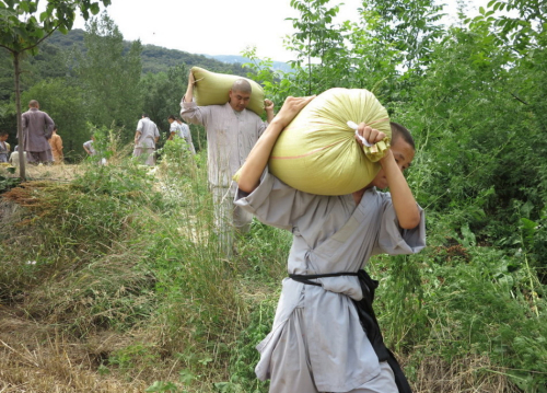 少林武僧進(jìn)田間收果實(shí)