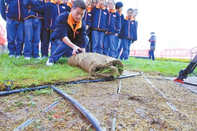 鋪設無土草坪