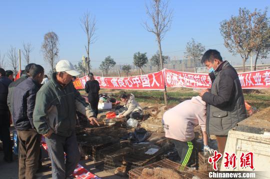 圖為百余名愛狗人士把老李的貨車攔截，數(shù)十人正在從貨車上卸下裝滿狗的鐵籠?！●R義恒　攝