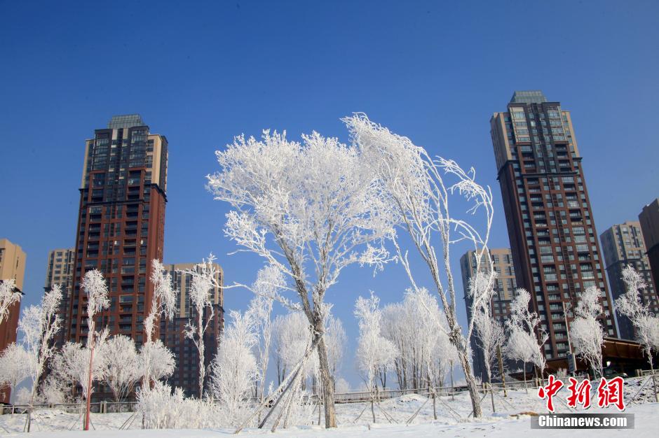 吉林省吉林市松花江畔出現(xiàn)霧凇美景